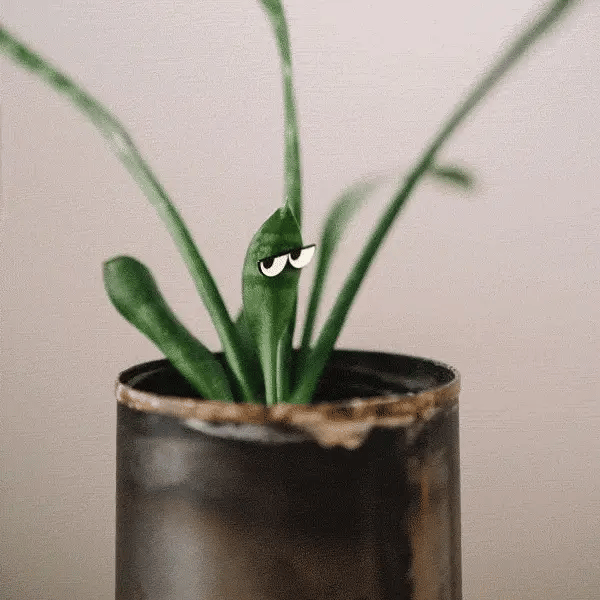 PlantMagnets - Glow Eyes 4-Pack