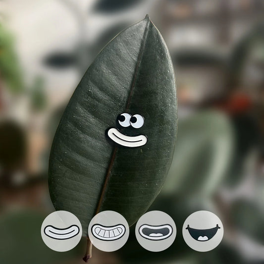 PlantMagnets - Glow Lips 4-Pack