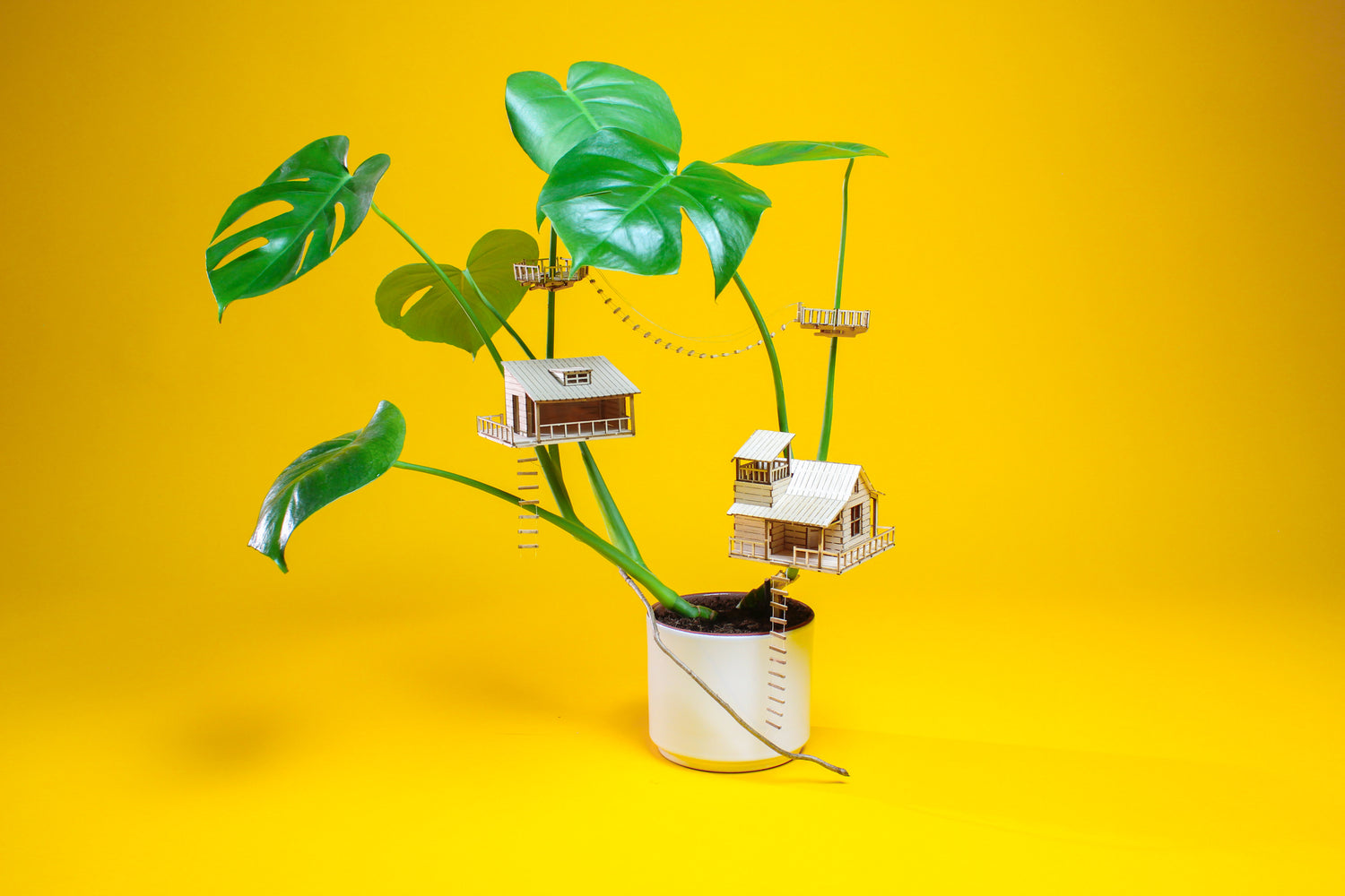DIY amazing plant-house collection