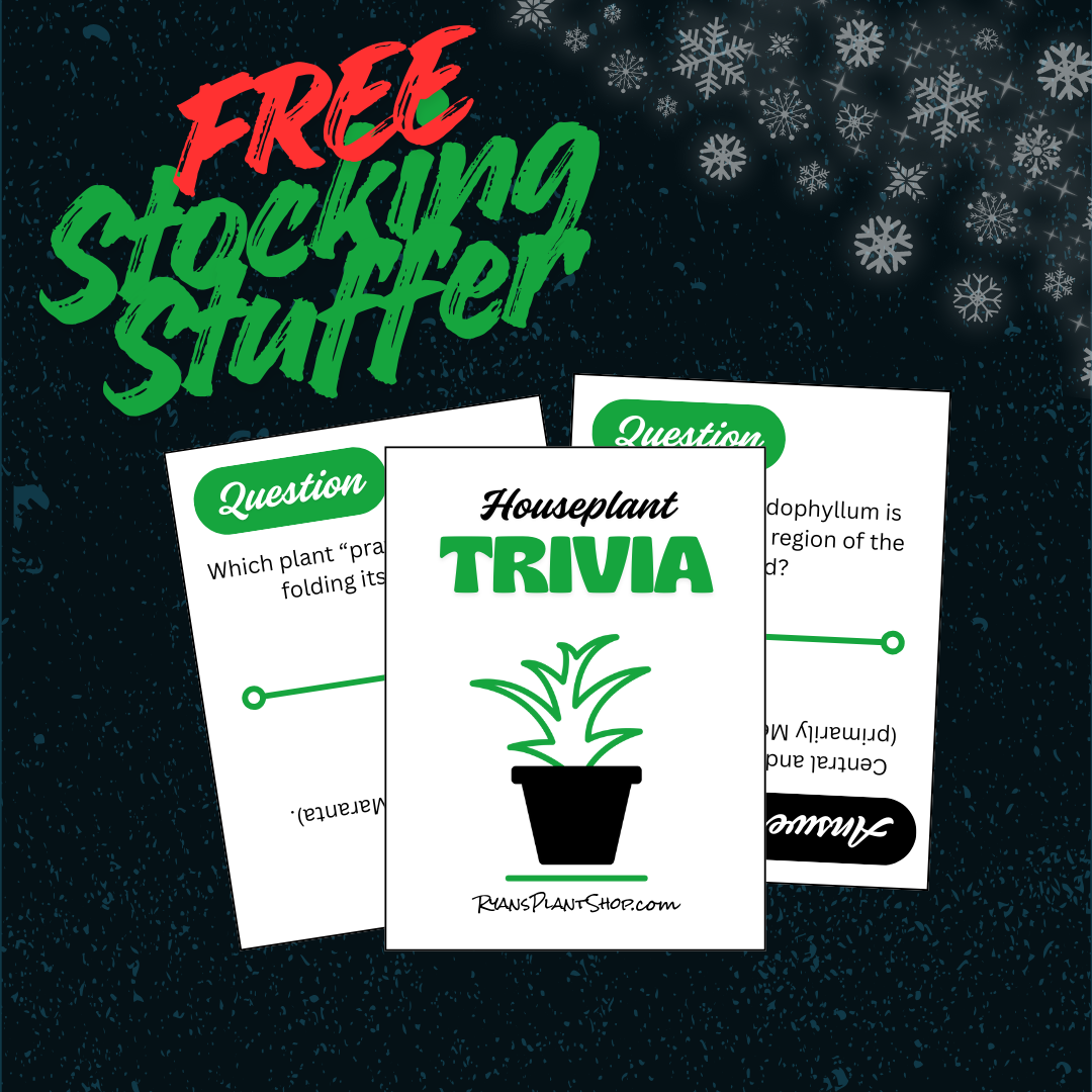 Free Houseplant Trivia Cards Download
